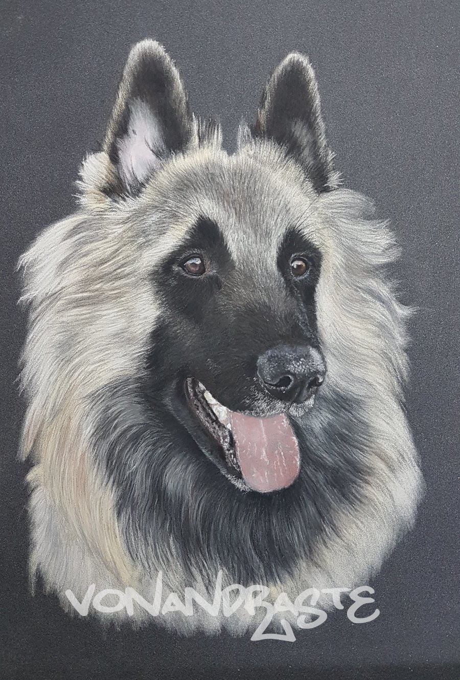 Argent, Tervueren - Pastel Portrait