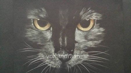 Cat - charcoal portrait