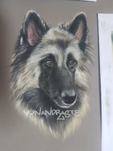 Ellie, Tervueren (Belgian Shepherd) - Pastel Portrait