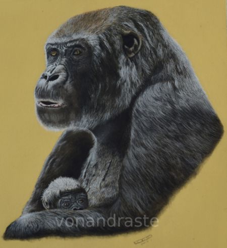 Gorilla - pastel portrait