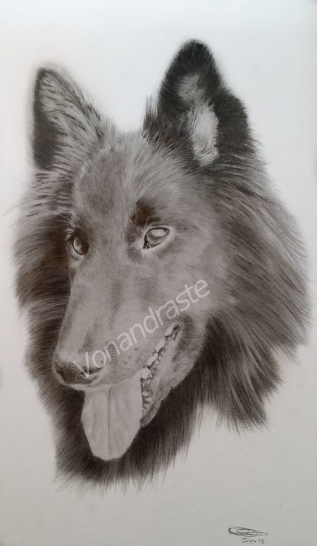 Kayna - pencil portrait