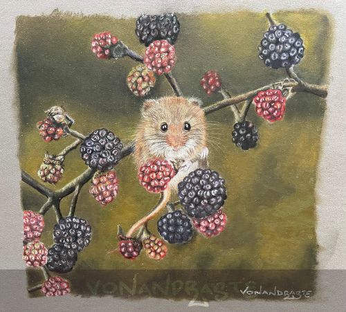 Field Mouse in Coloured Pencils - Drawing/Art