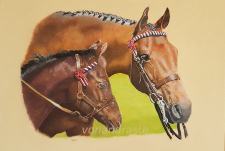 Mare and Foal - pastel portrait