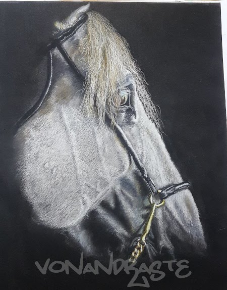 White horse - Pastel Portrait